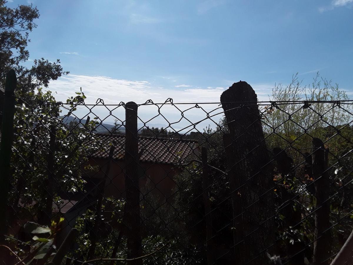 A Schiera Nei Pressi Del Mare Apartment Livorno